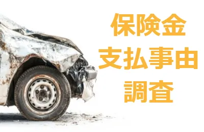 保険金詐欺　支払事由